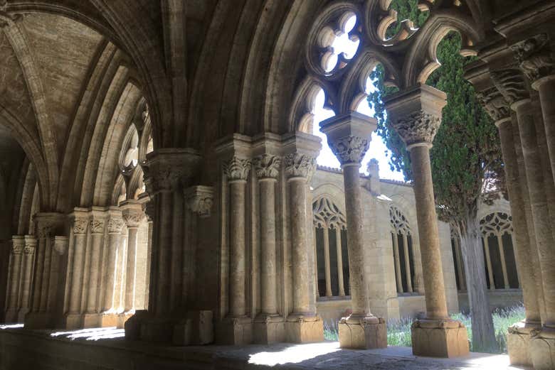 Visite du cloître de la cathédrale