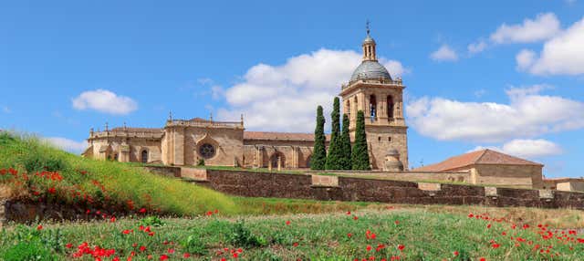 Visita guiada por Ciudad Rodrigo