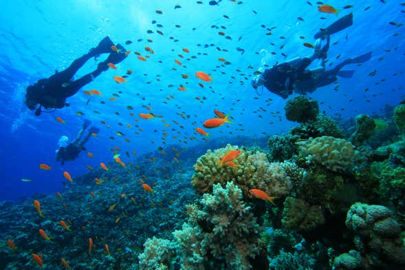 Bautismo de buceo en la costa de Ciudadela