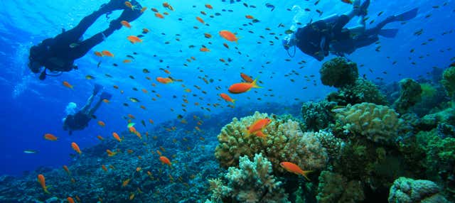 Bautismo de buceo en la costa de Ciudadela