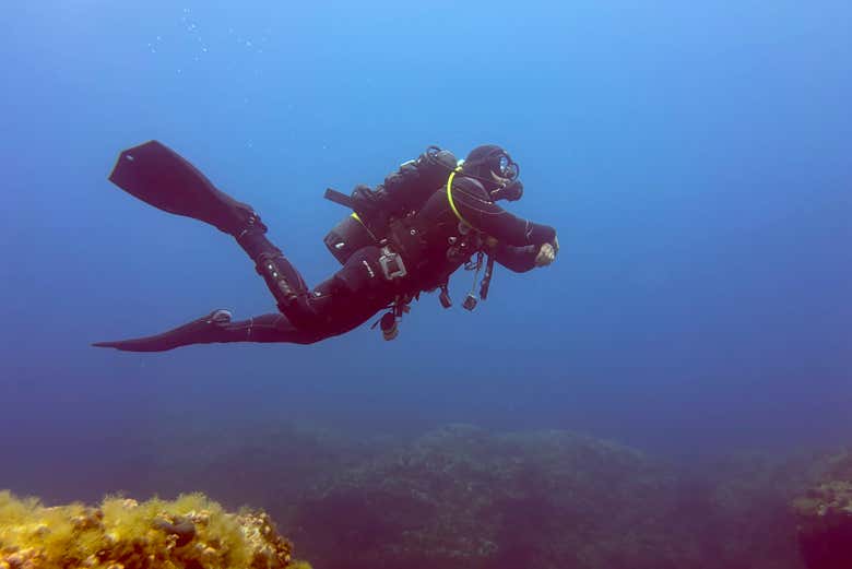 Nuestro instructor de élite siempre supervisando 