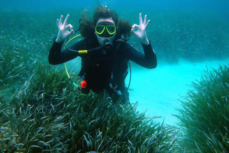 Durante l'immersione