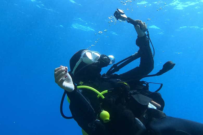 Conociendo la pasión de la fotografía subacuática 