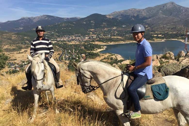 On the back of the friendly horses