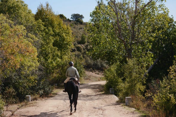Passeggiata a cavallo nel Parco Nazionale di Guadarrama