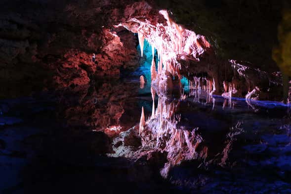 Escursione alle grotte di Hams e Dinosaurland