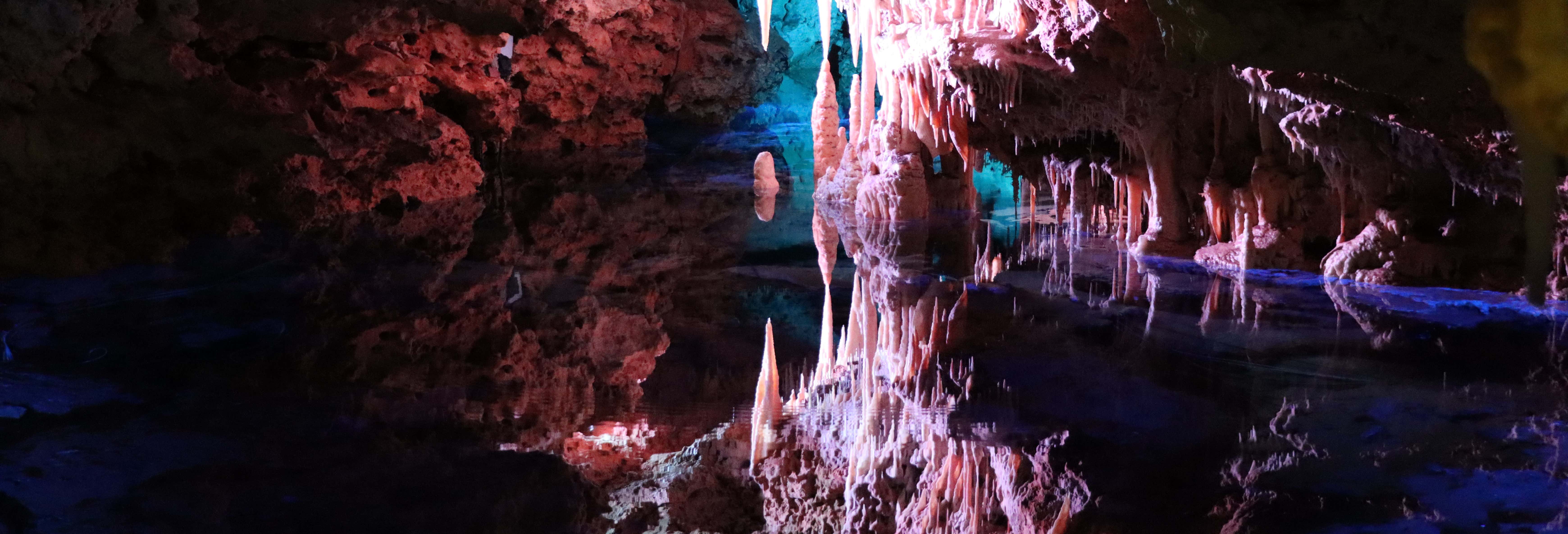 Excursiones de un día en Colonia de San Jorge