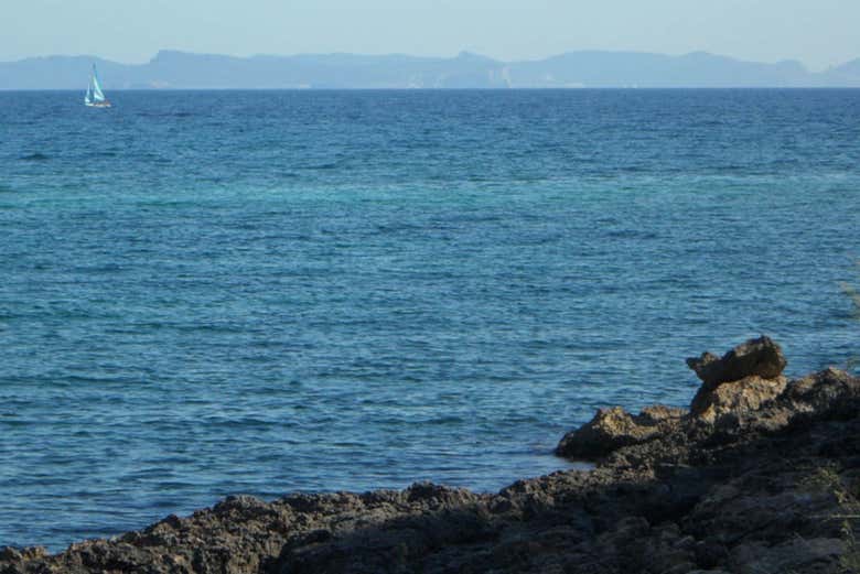 La côte de l'île Cabrera