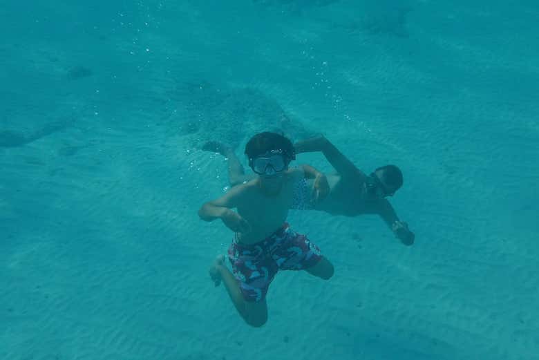 snorkel