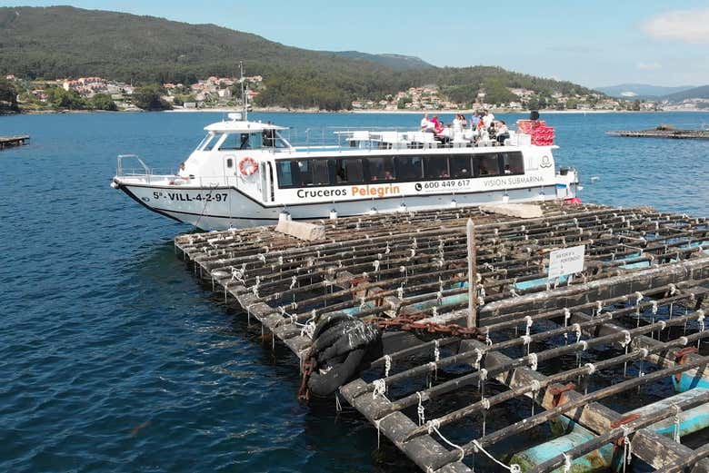 Barco varado junto a la batea