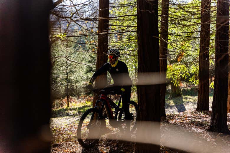 Ebike montaña Secuoyas