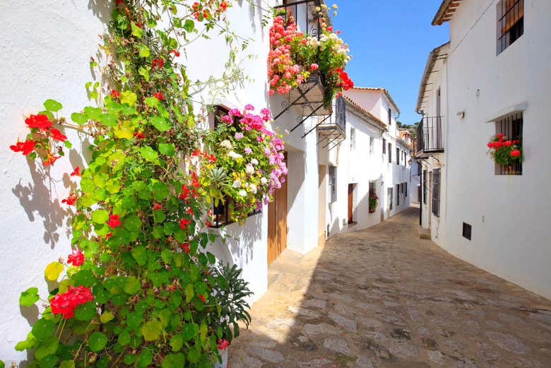 Centro de Grazalema