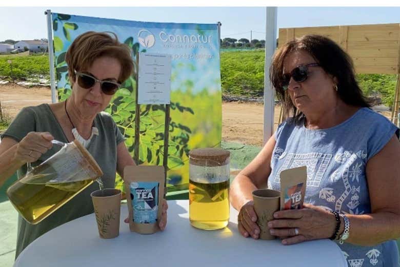 Buvez une infusion de moringa