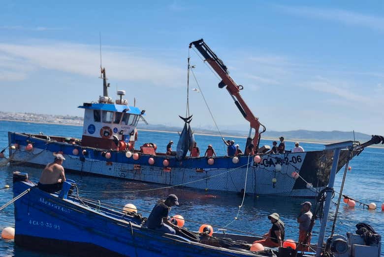 Sentaos en primera fila para ver la pesca del atún