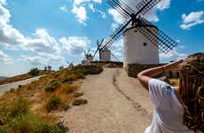 Consuegra Private Tour