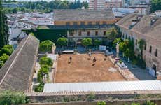 Espectáculo ecuestre en las Caballerizas Reales