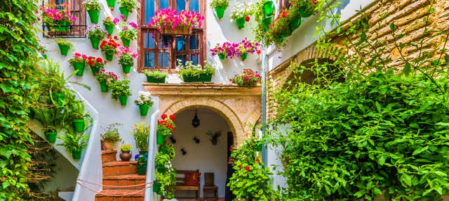 Free tour por los patios de Córdoba