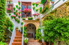 Free tour des patios de Cordoue