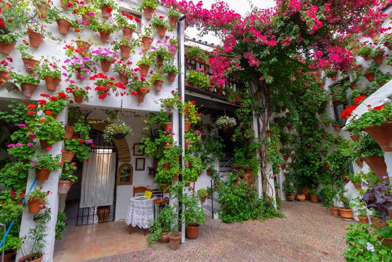 Joli patio à Cordoue