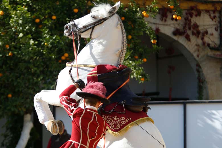 L'un des chevaux du spectacle