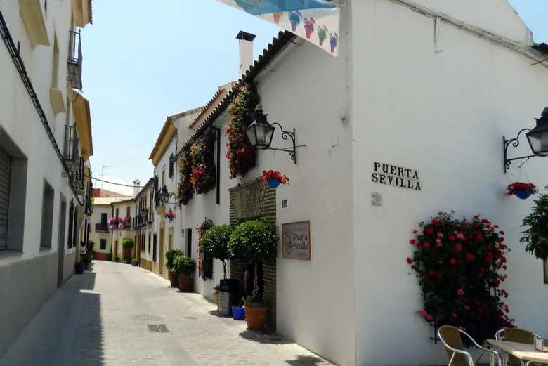 Découvrez le quartier de San Basilio