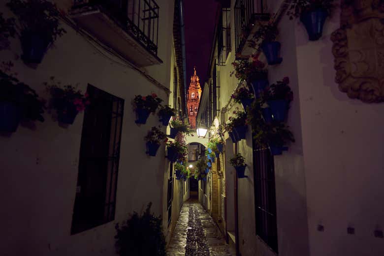 Calleja de las Flores por la noche