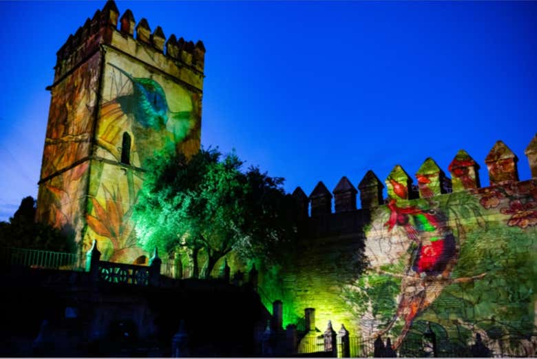 Asistiréis a un espectáculo de luces único en Córdoba