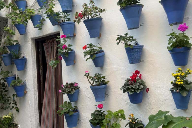 Patio cordobés del barrio de San Basilio