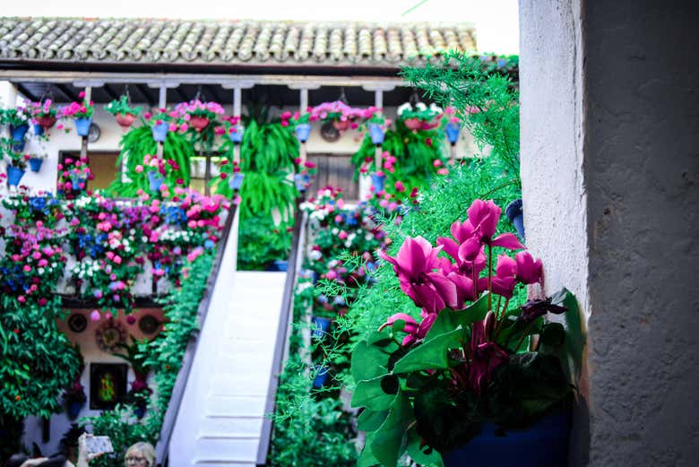 Visitando i cortili di Cordova