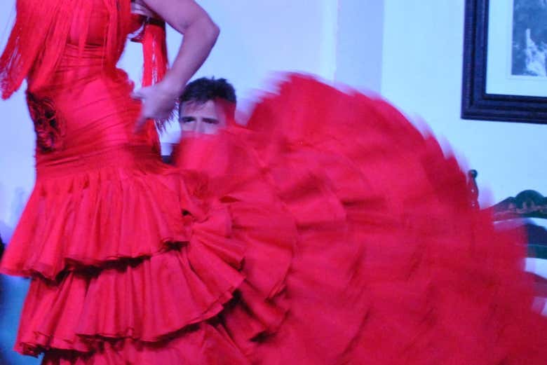 Detalles del vestido flamenco