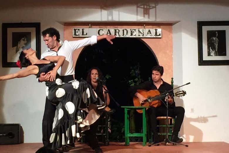 Puro arte flamenco