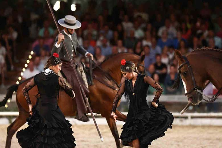 pasión y duende del caballo andaluz 