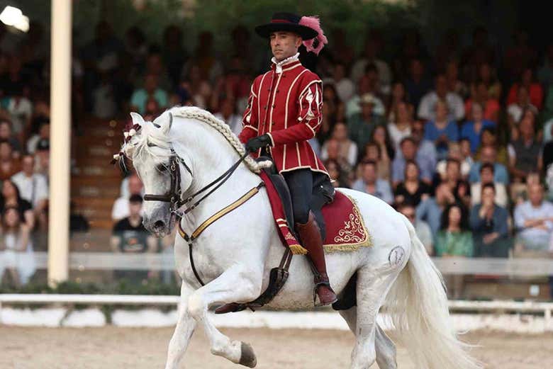 pasión y duende del caballo andaluz 