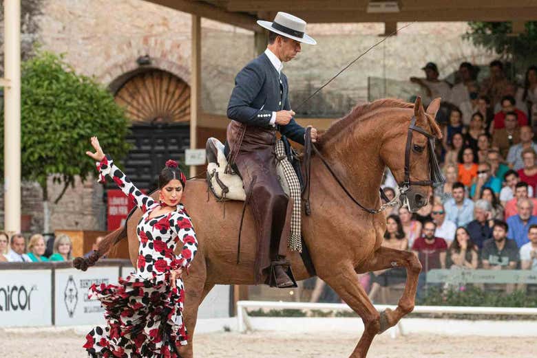 pasión y duende del caballo andaluz 