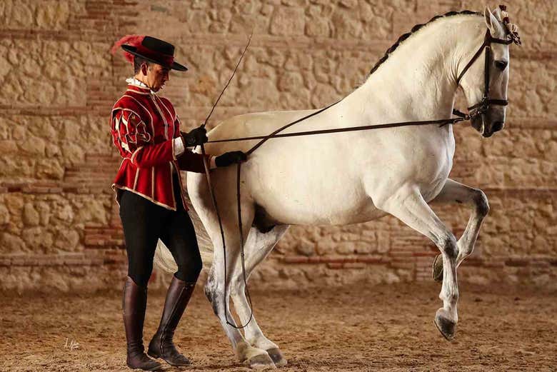 pasión y duende del caballo andaluz 