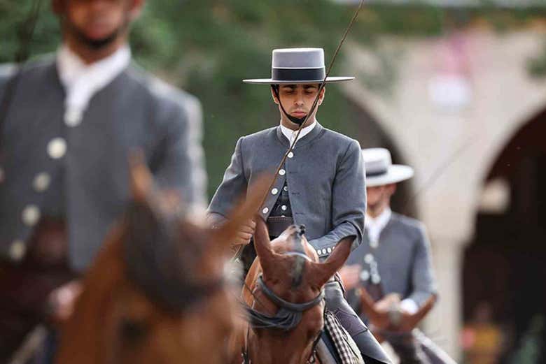 pasión y duende del caballo andaluz 