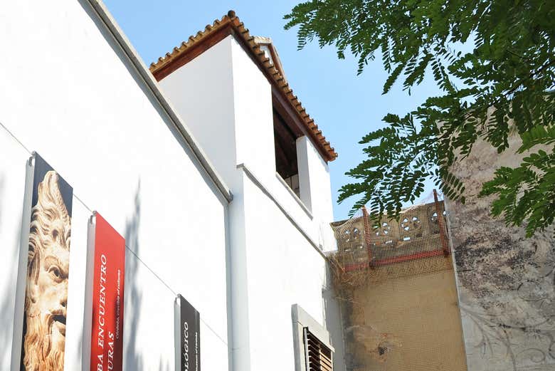 Visita guidata del Museo Archeologico di Cordova