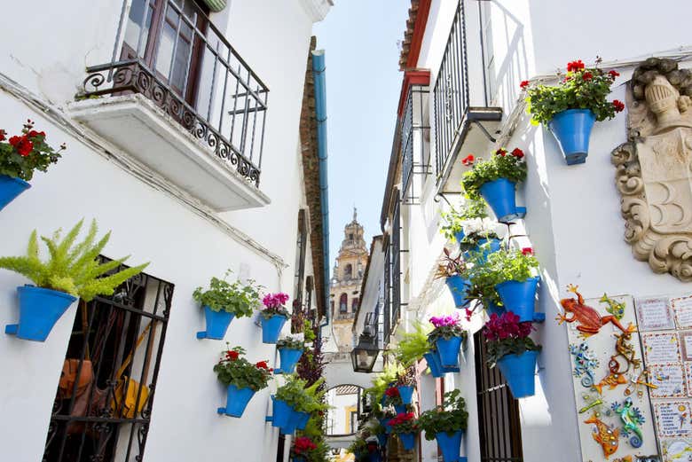 Calleja de las Flores