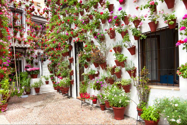Contemplez les géraniums et les gitanillas des patios