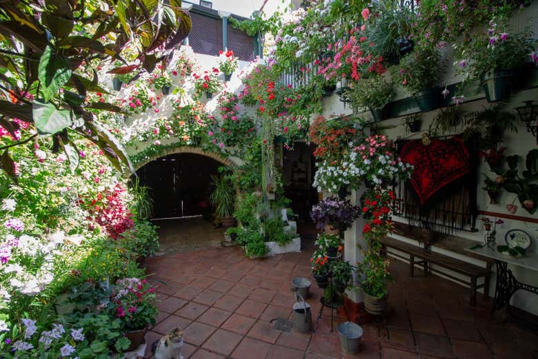 Patio dans la rue Duartas