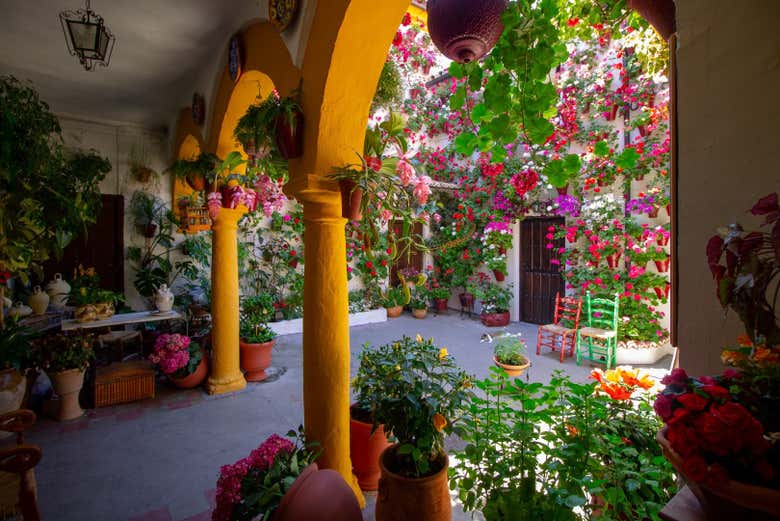 San Basilio Street courtyard