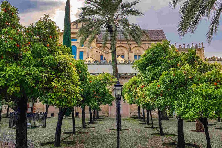Patio de los Naranjos