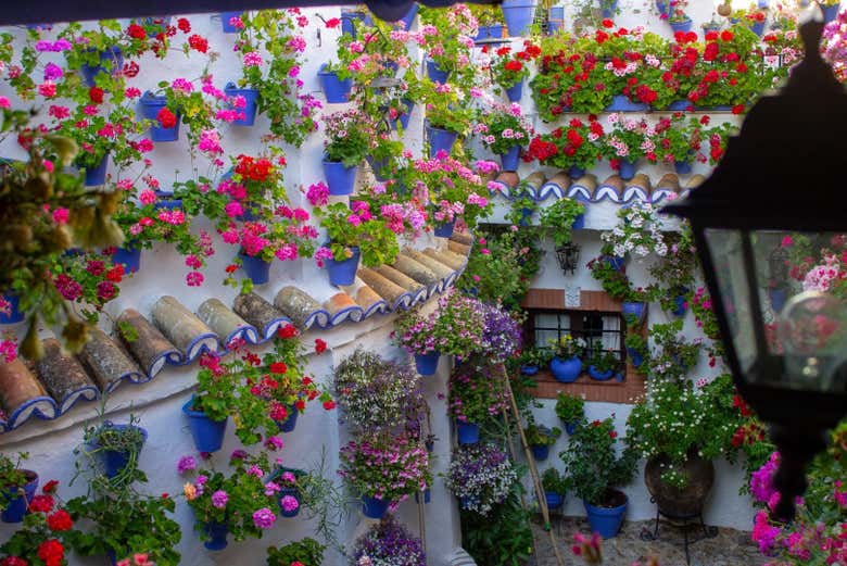 Patio dans la rue Postrera