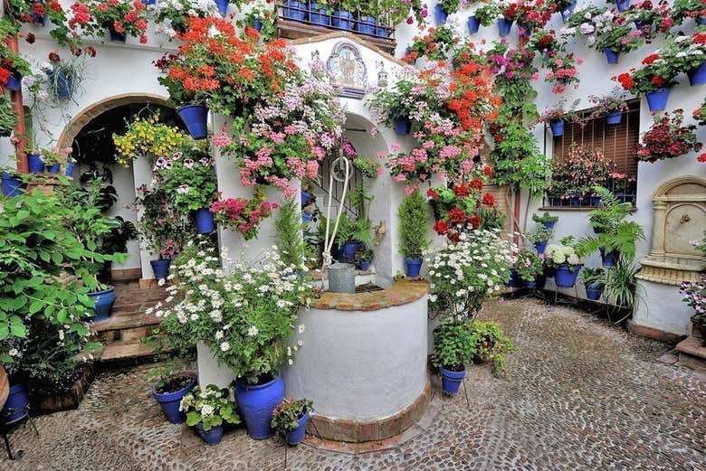 Patios de Córdoba