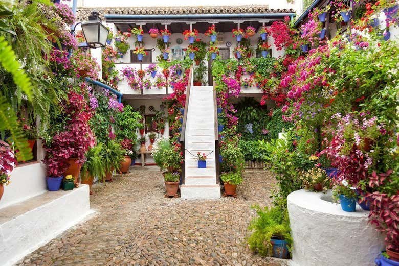 Patios de Córdoba