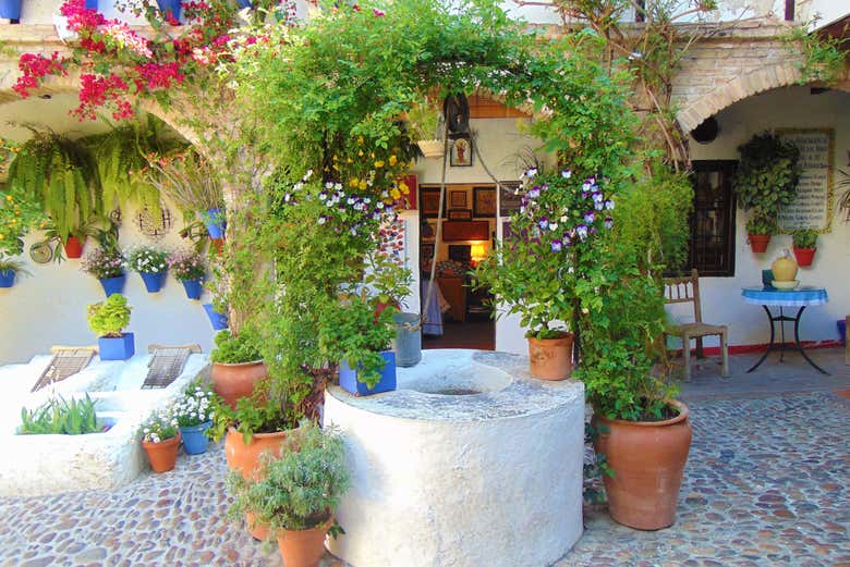 No os podéis perder los famosos Patios de Córdoba