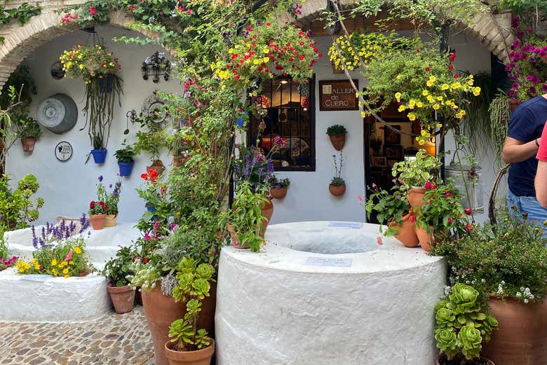 Con este tour privado conoceréis los mejores Patios de Córdoba