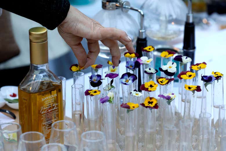Todo listo para la cata de aceite