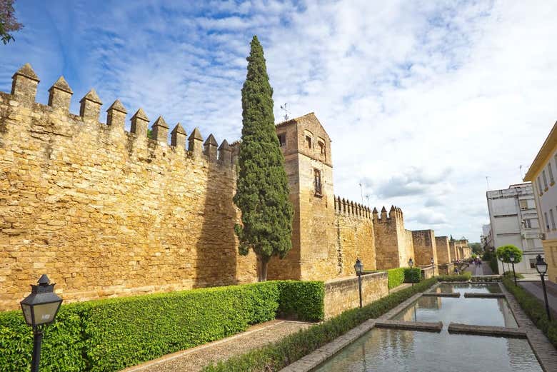 Puerta de Almodóvar