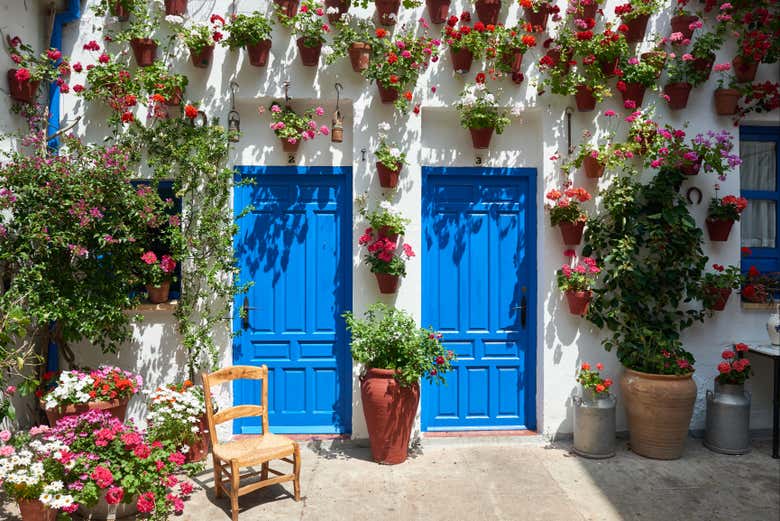 Visitez plusieurs patios à Cordoue